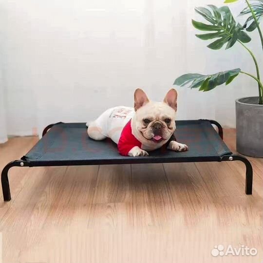 Товары для домашних животных