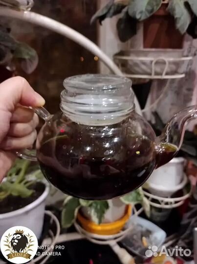 Чай черный Иранский с доставкой, опт