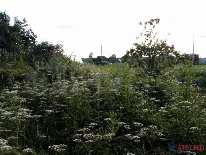 Участок 5 сот. (ИЖС)