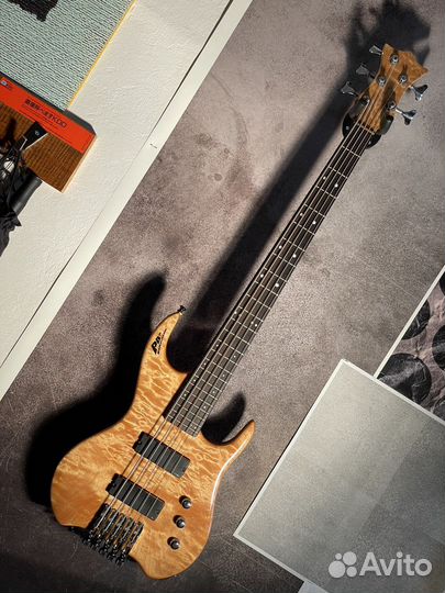 Бас гитара PBC dave bunker 5-string bass