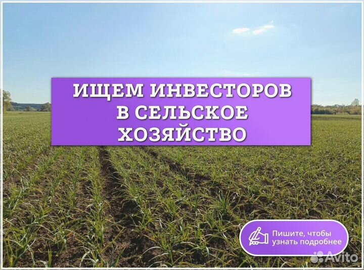 Инвестор в готовый бизнес