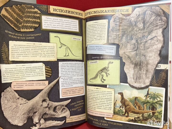 Затерянный мир