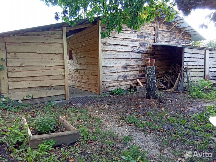 Баня, Услуги Парильщика, персональный Банщик