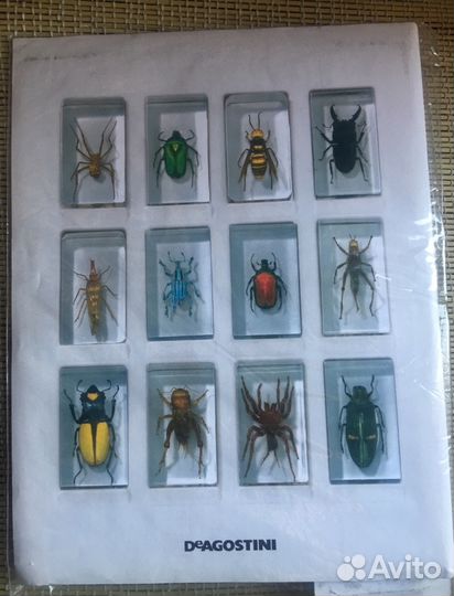 Журнал насекомые и их знакомые. Новый обмен