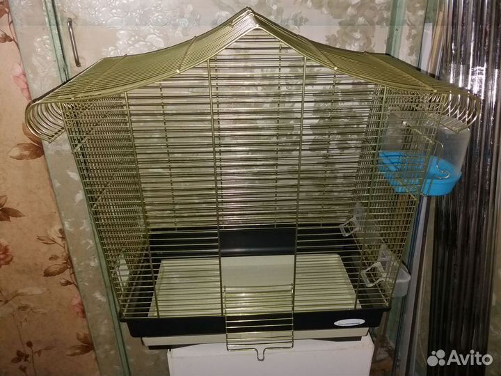 Укомплектованные клетки