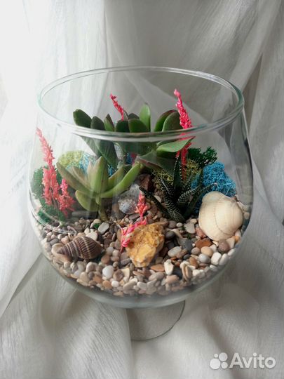 Флорариум с живыми суккулентами