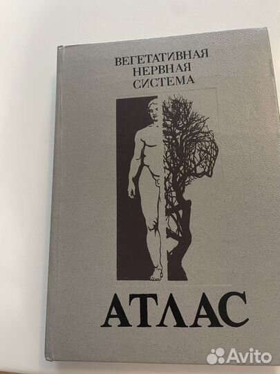 Книга Вегетативная Нервная Система 1988 год