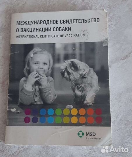 Щенки джек Рассел терьер