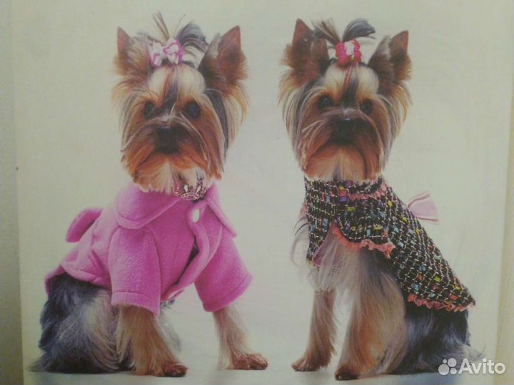 Йорки не картина