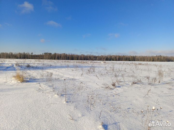 Фермерское хозяйство