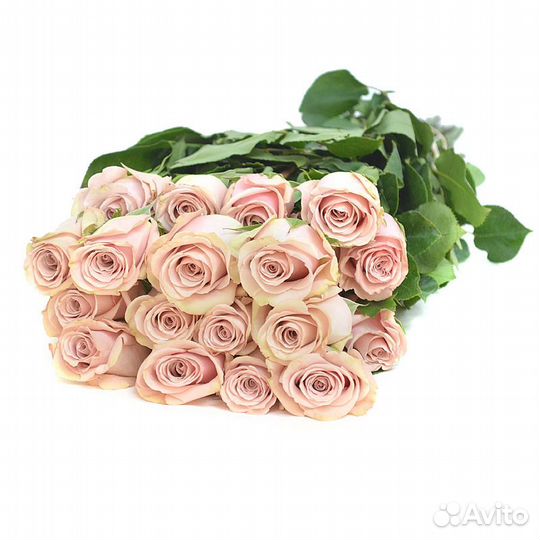 Букет из 17 роз Пески