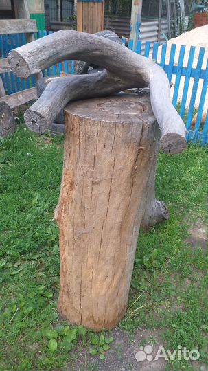 Пеньки дубовые