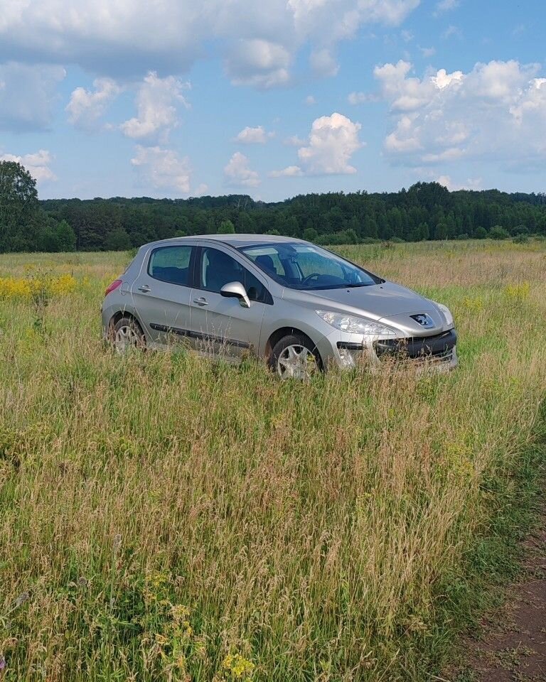 Peugeot 308: фото владельца