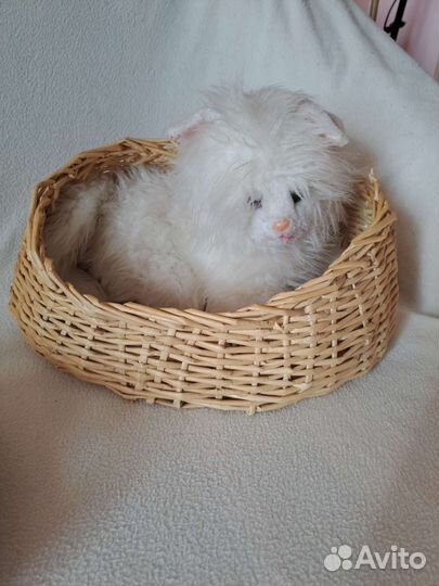 Корзина для кошек