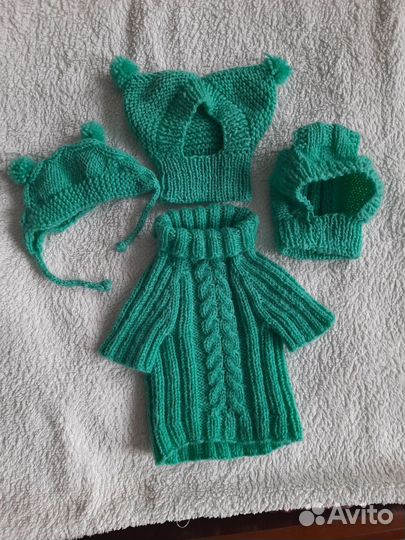 Одежда для животных