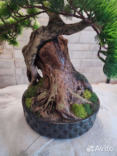Бонсай интерьерное дерево