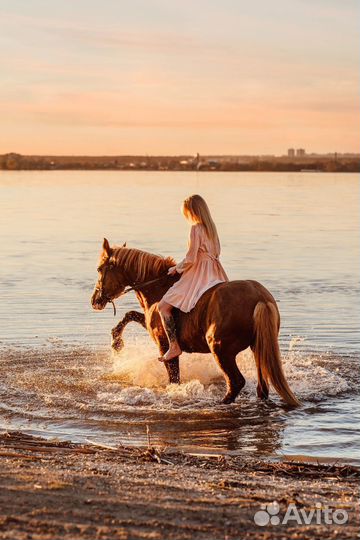 Конные прогулки