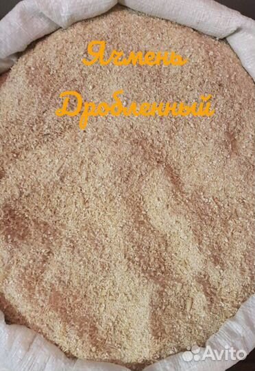 Ячмень Фуражный, дробл