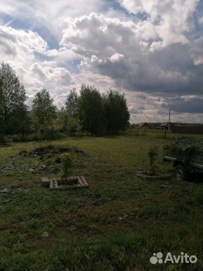 Покос травы триммером