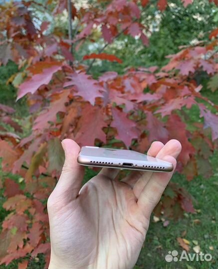 iPhone 8 Plus, 64 ГБ