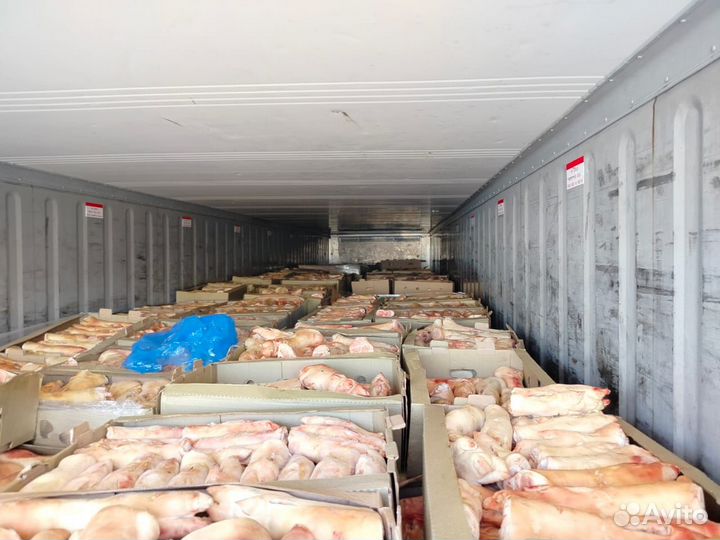 Свиные ноги свежие замороженные и охлажденные