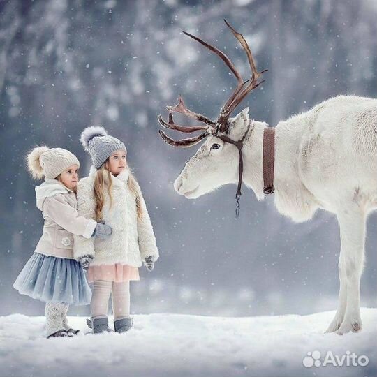 Фотосессия с настоящими оленями и дедом морозом