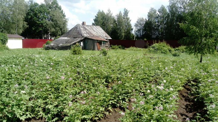 Участок 21 сот. (ИЖС)