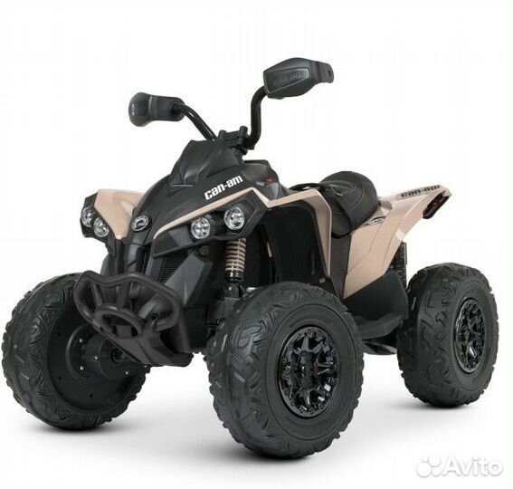 Электроквадроцикл BRP Can-Am Renegade Hakki