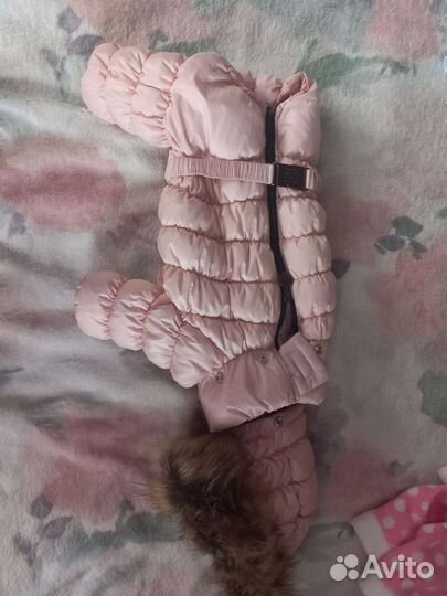 Одежда для маленьких собак