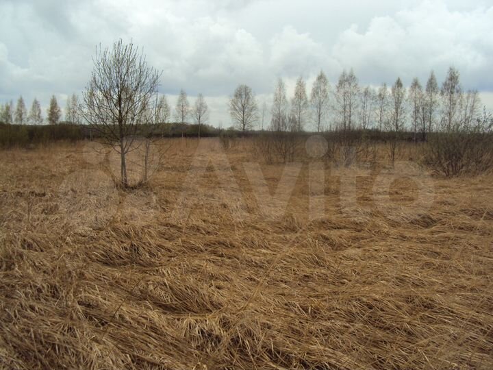 Участок 3,33 га (СНТ, ДНП)