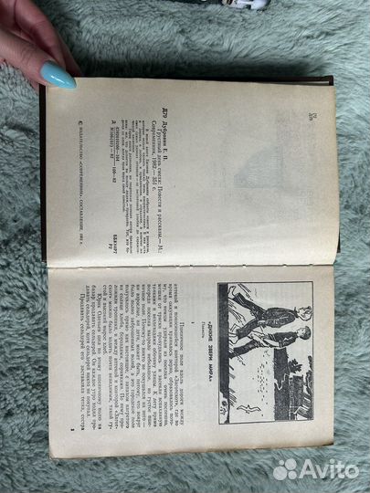 Терри Тери Стертая