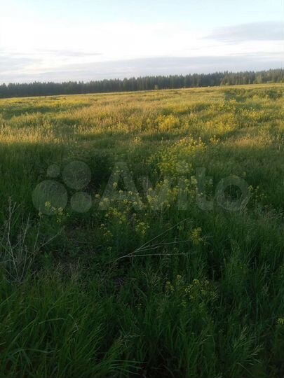 Дом 45 м² на участке 60 сот.