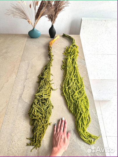 Амаpaнт крапива, ель, утолщенный