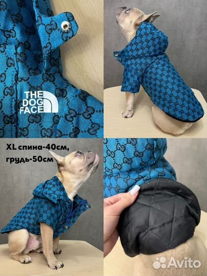 Одежда для собак новая