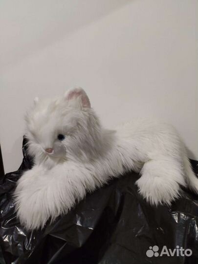 Аксессуар мягкий кот