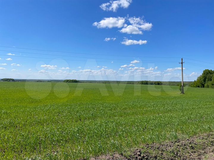 Участок 11 га (ИЖС)