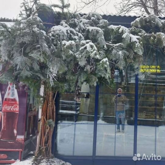 Флорист- декоратор