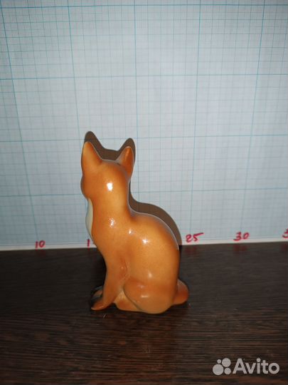 Лисица сидит