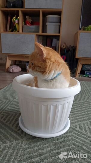 Горшок цветочный (пластик) б/у