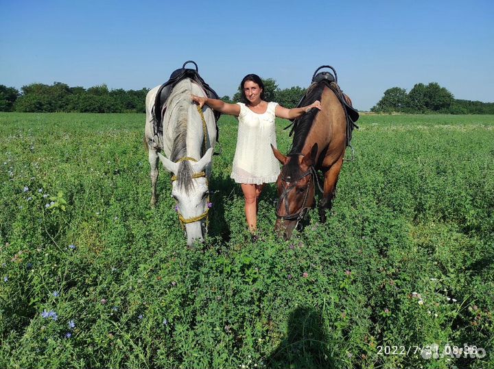 Постой лошадей. Катания, фото сессии