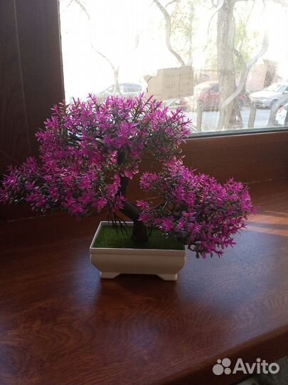 Дендробиум