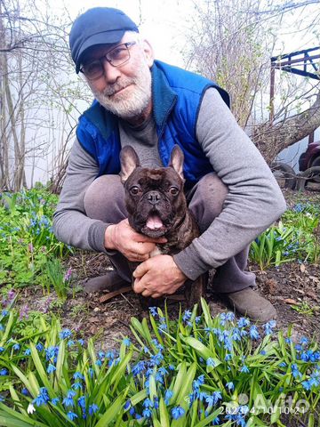 Передержка собак