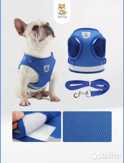 Шлейка для маленькой собаки