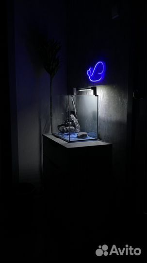 Аквариум с комплектом 20л