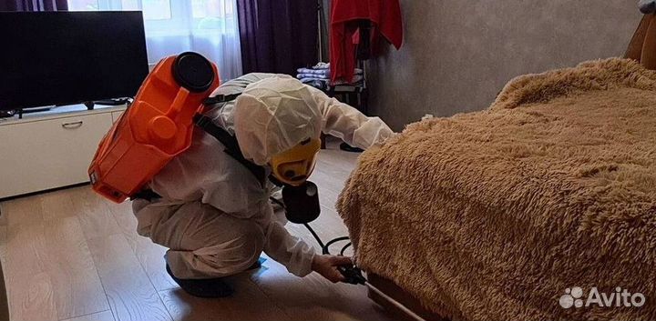 Средство для Уничтожения клопов Дезинсекции тараканов