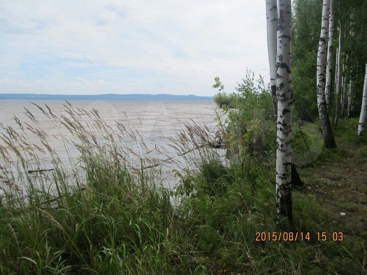 Участок 12 сот. (ИЖС)