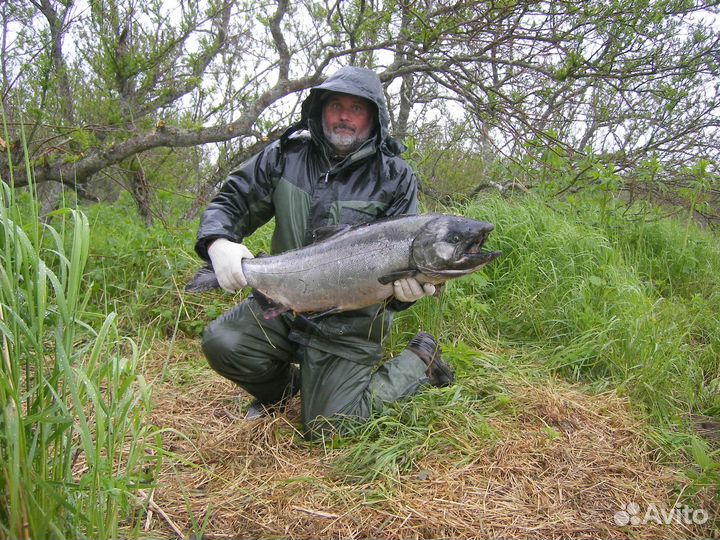Рыбалка на Камчатке