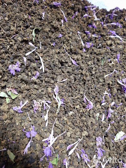 Иван чай ферментированный