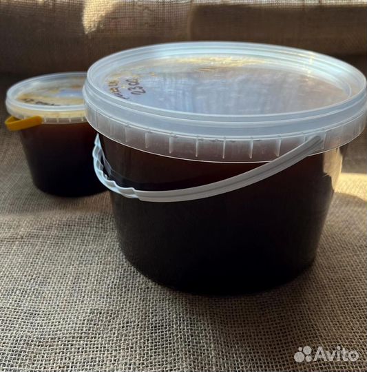 Мед гречишный 2024