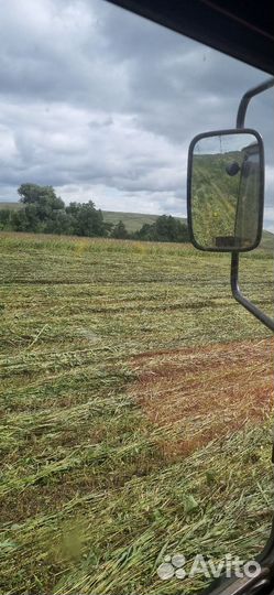 Сено Суданка